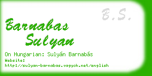 barnabas sulyan business card
