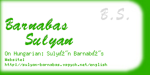 barnabas sulyan business card